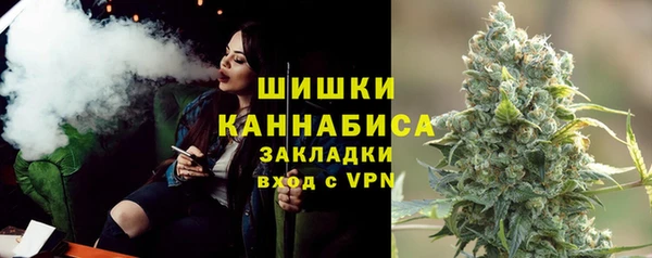 первитин Заводоуковск