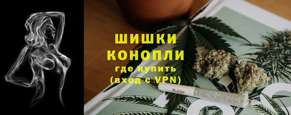 первитин Заводоуковск