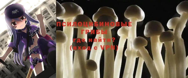 первитин Заводоуковск