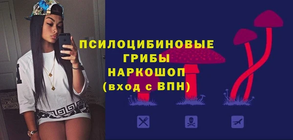 первитин Заводоуковск