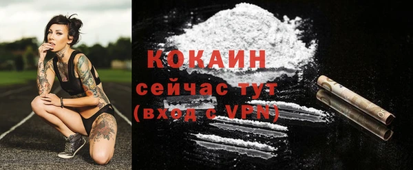 первитин Заводоуковск
